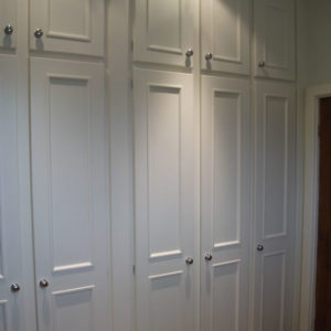 Fitted Wardrobe 1